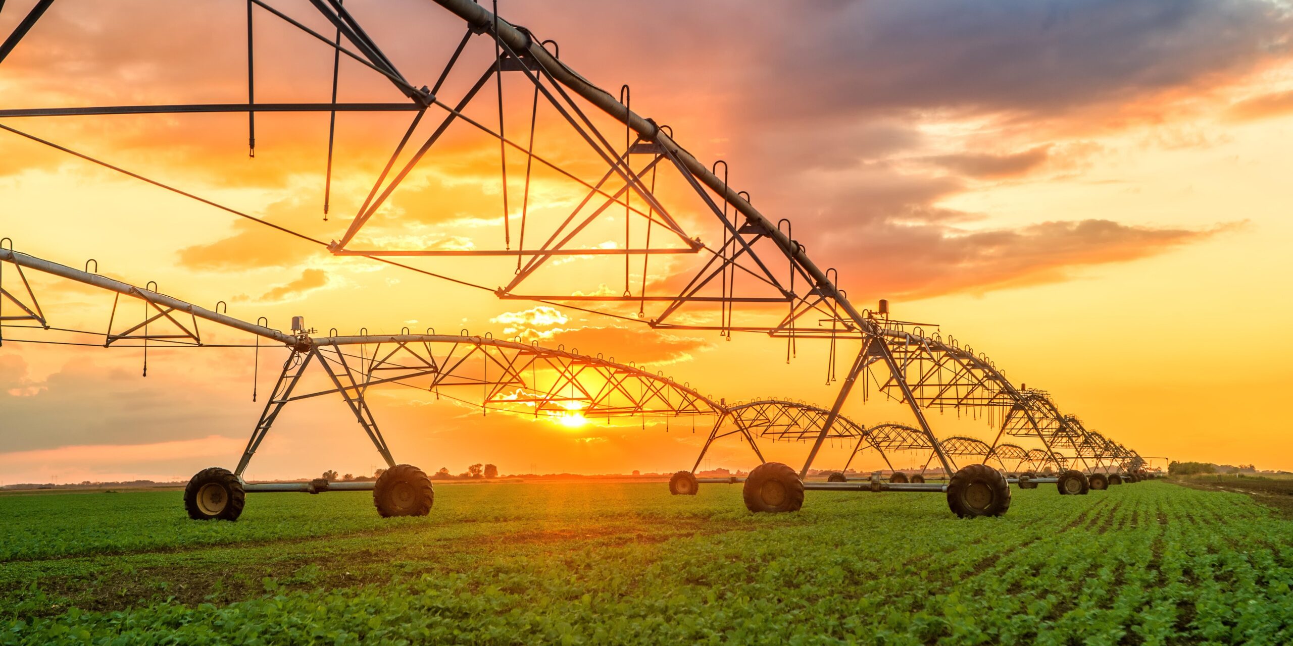 Agricultura